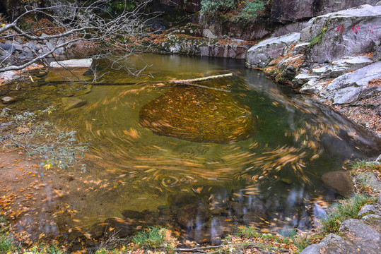 光雾山红叶流水