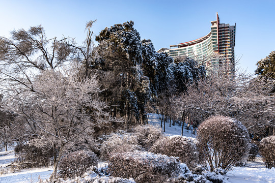 中国长春御花园冬季景观