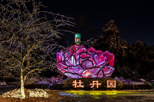 冬季的中国长春牡丹园夜景