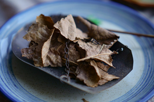 桑叶茶