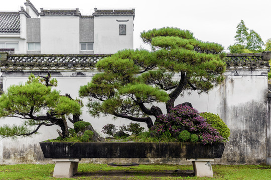 歙县棠樾鲍家花园