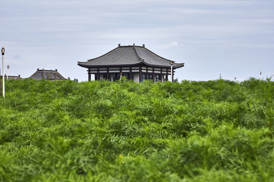 绿色草甸与远处的威严楼阁