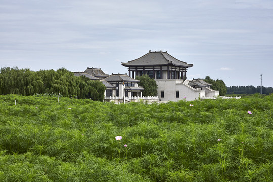 绿色草甸与远处的威严楼阁