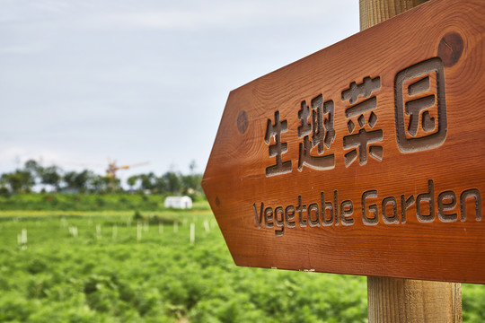 菜田里的生趣菜园标牌