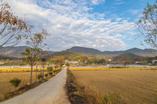 田园风光