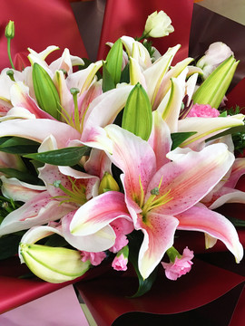 大束百合花