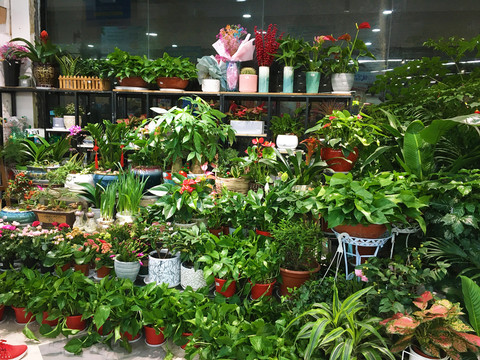 花店展示