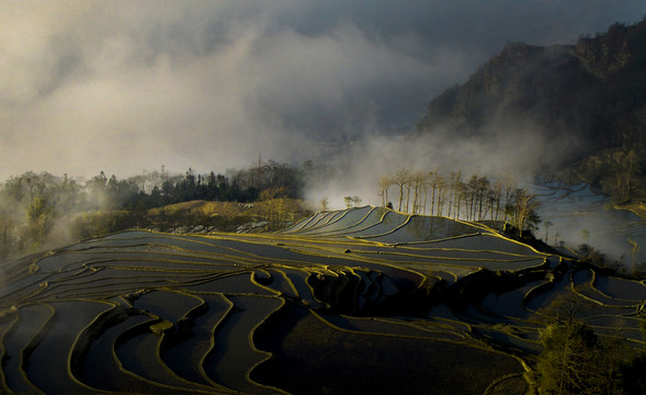 元阳坝达梯田