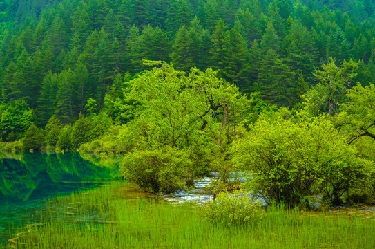 九寨沟美景