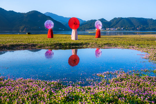 湿地花海的汉服表演