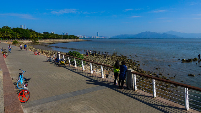 深圳湾