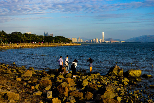 深圳湾