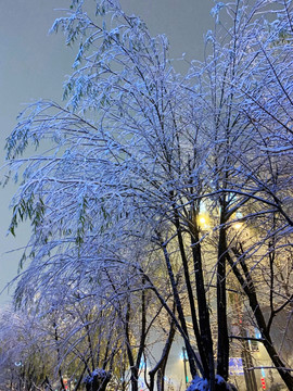 雪景