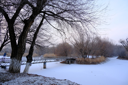 冬雪