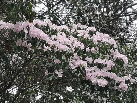 肖坑风光