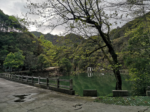 肖坑风光