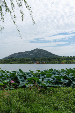 邹城唐王湖公园邹城博物馆