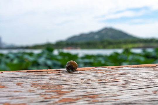 邹城唐王湖公园邹城博物馆