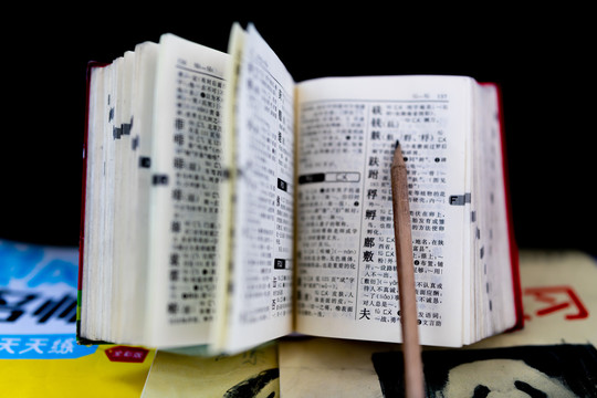 新华字典图书练习本铅笔玩具狗