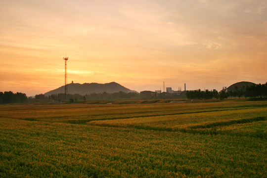 魅力田野