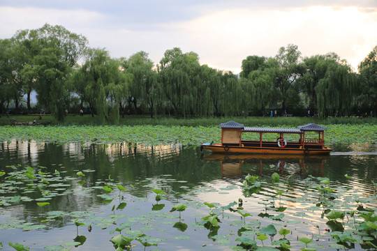 北京颐和园西湖荷花池里的游船