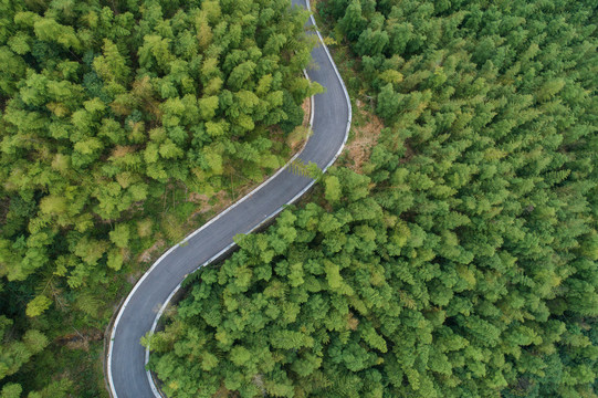 森林公路