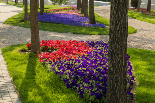公园花卉树木