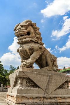 中岳庙狮子石雕