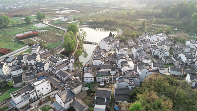 琶塘村