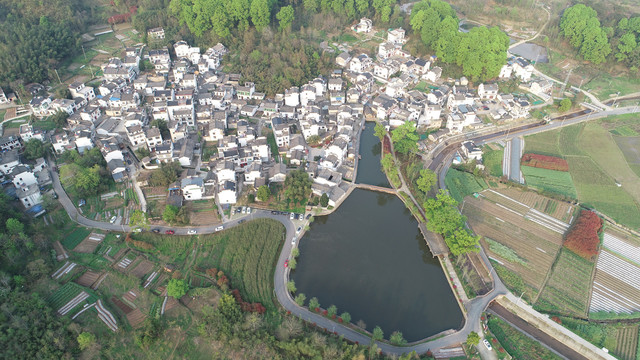 琶塘村