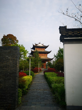 庭院绿化