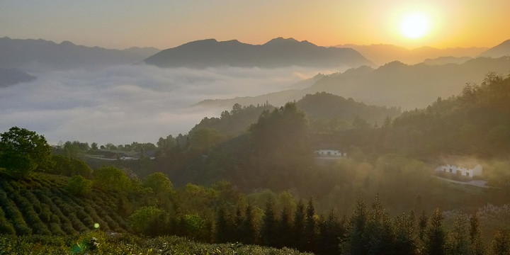 横渡高山