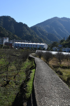 游园步道
