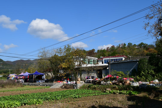 乡村集市