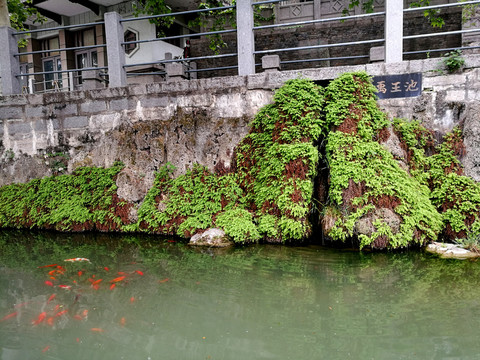 禹王池