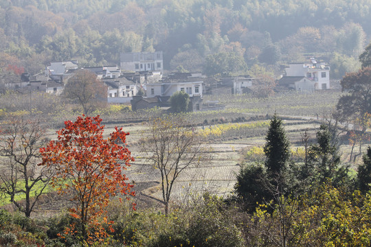 塔川秋色