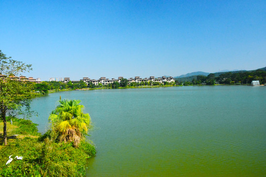 美的鹭湖景色