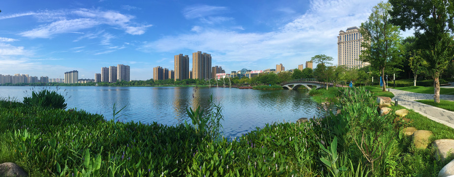 夏季龙池湖全景