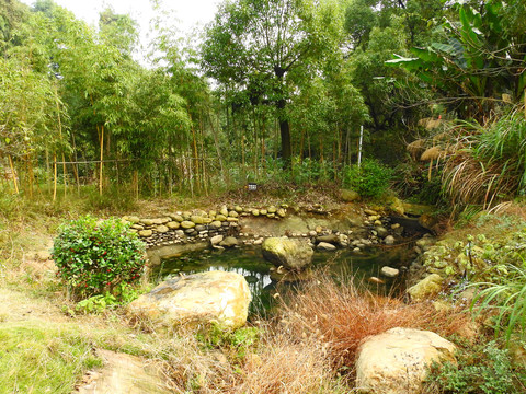 天花井森林公园水池