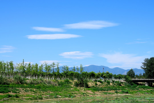 河岸树林远山