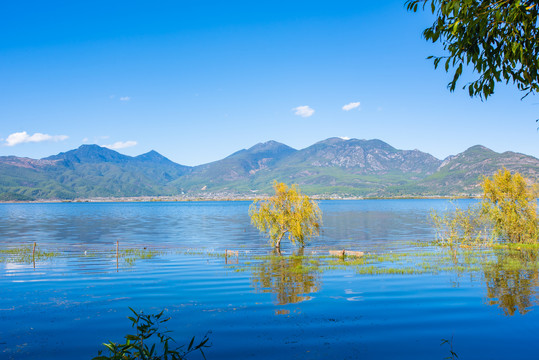 丽江拉市海湿地