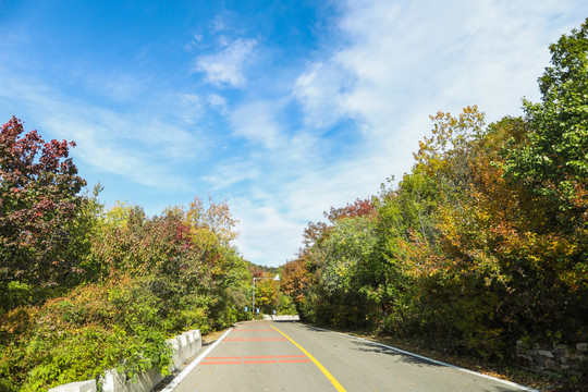 山道