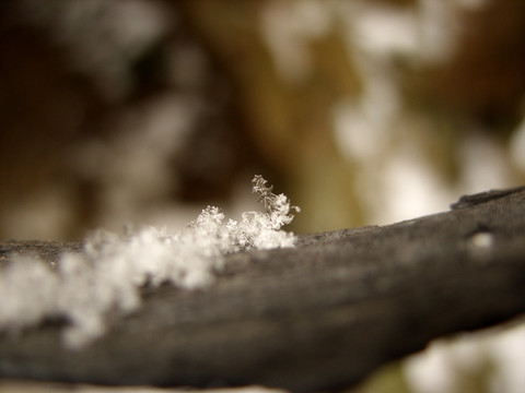 雪花微距