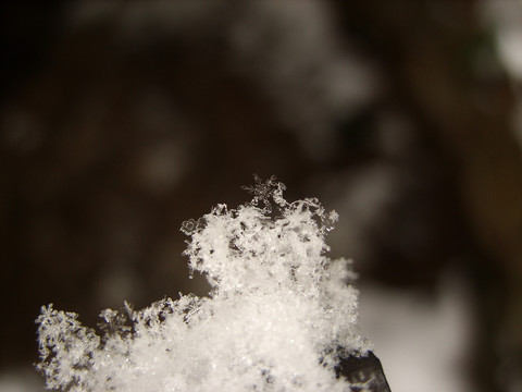 雪花微距