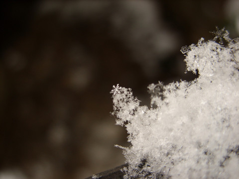 雪花微距
