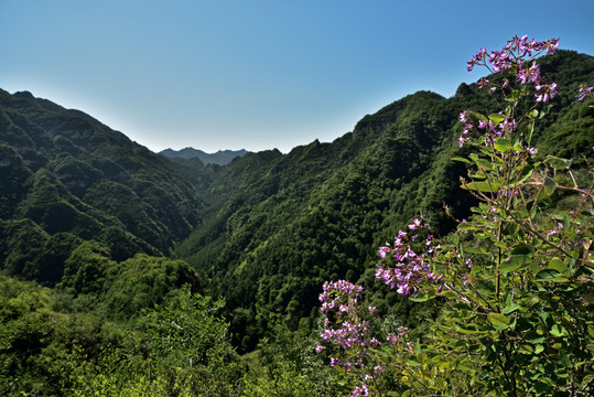 河北省保定市涞源县仙人峪风景区