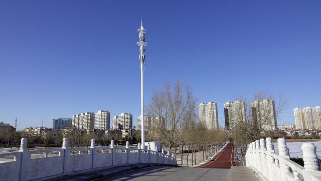 大庆市滨州湖道路旁一处电讯塔