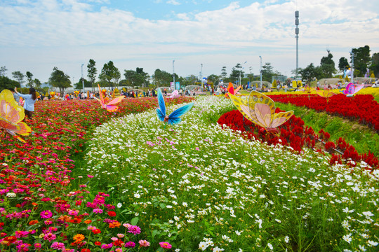 小榄菊花会风光