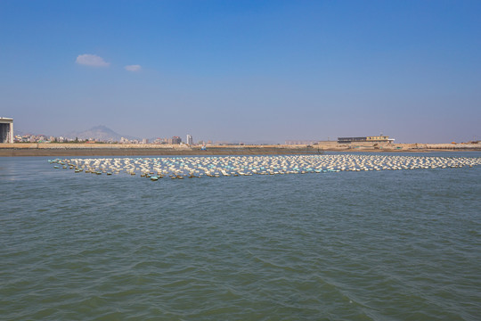 厦门大嶝岛海域海上的紫菜养殖场