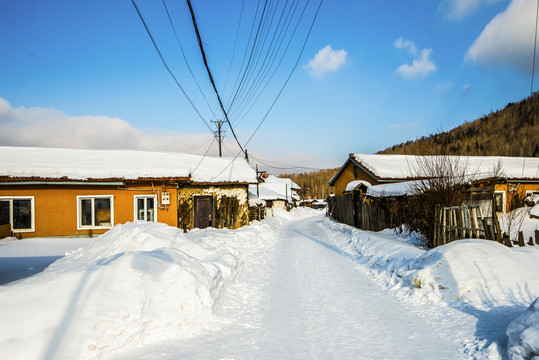 北方农村雪景
